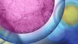 Cancer Surgery