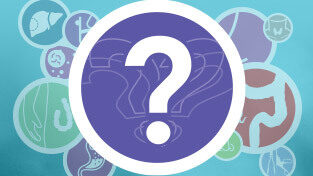 13243 lsa 2026 FA Qs 313x223