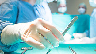 Lsa 2026 contact 313x223